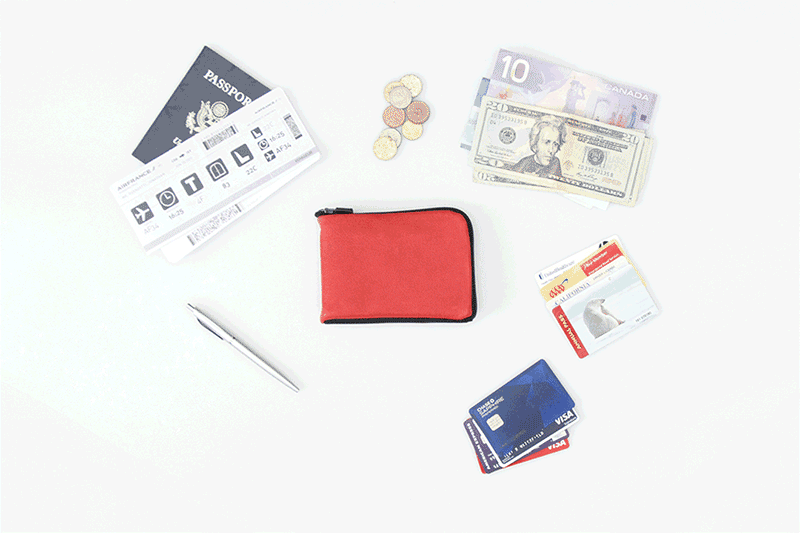 Finn for international travel